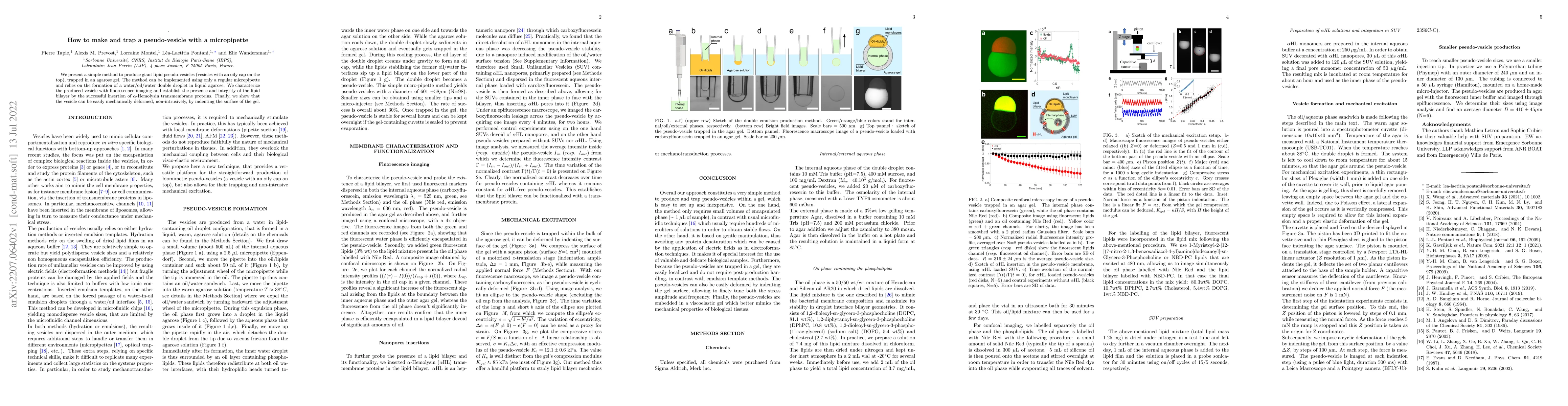 Thumbnail for How to make and trap a pseudo-vesicle with a micropipette