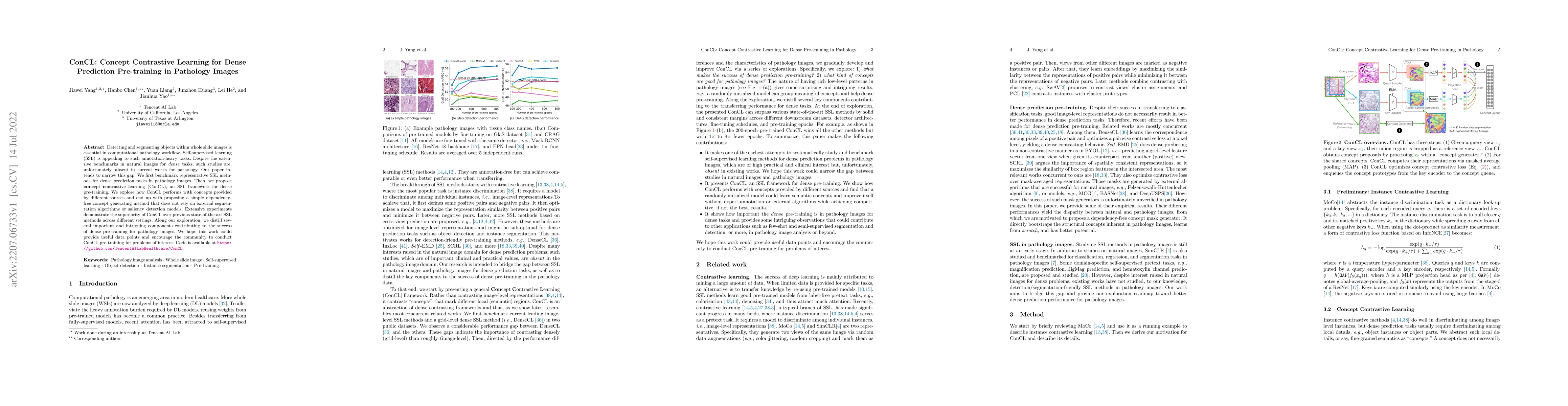 Thumbnail for ConCL: Concept Contrastive Learning for Dense Prediction Pre-training in
  Pathology Images