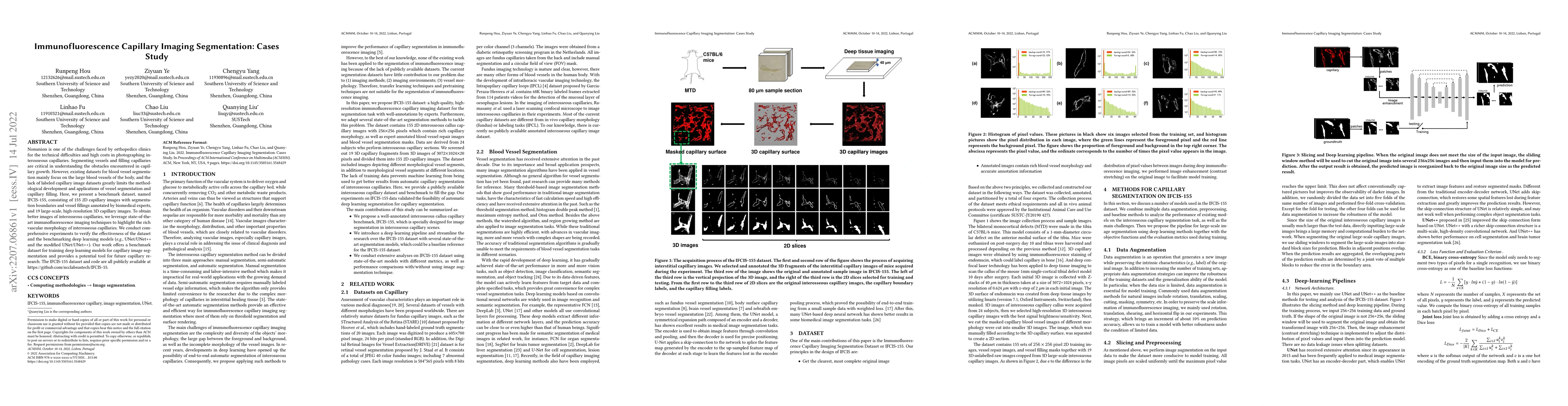 Thumbnail for Immunofluorescence Capillary Imaging Segmentation: Cases Study