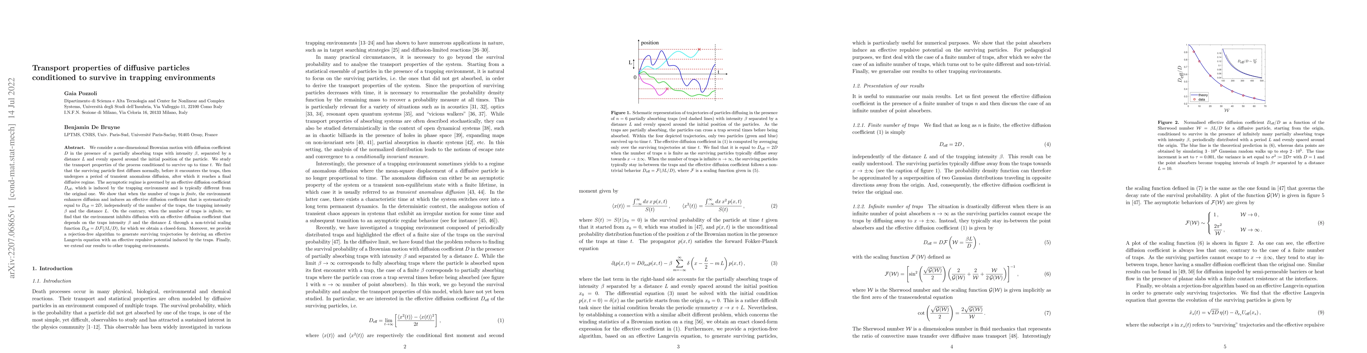 Thumbnail for Transport properties of diffusive particles conditioned to survive in
  trapping environments