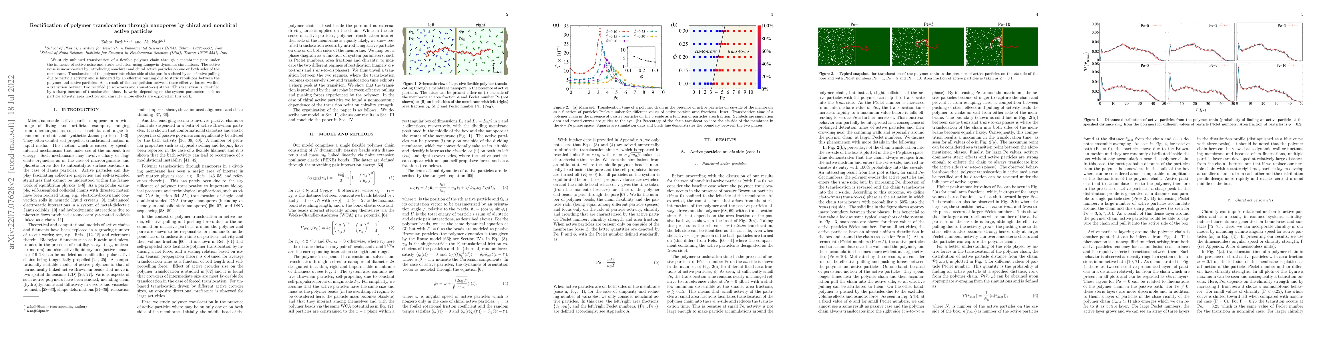 Thumbnail for Rectification of polymer translocation through nanopores by chiral and
  nonchiral active particles