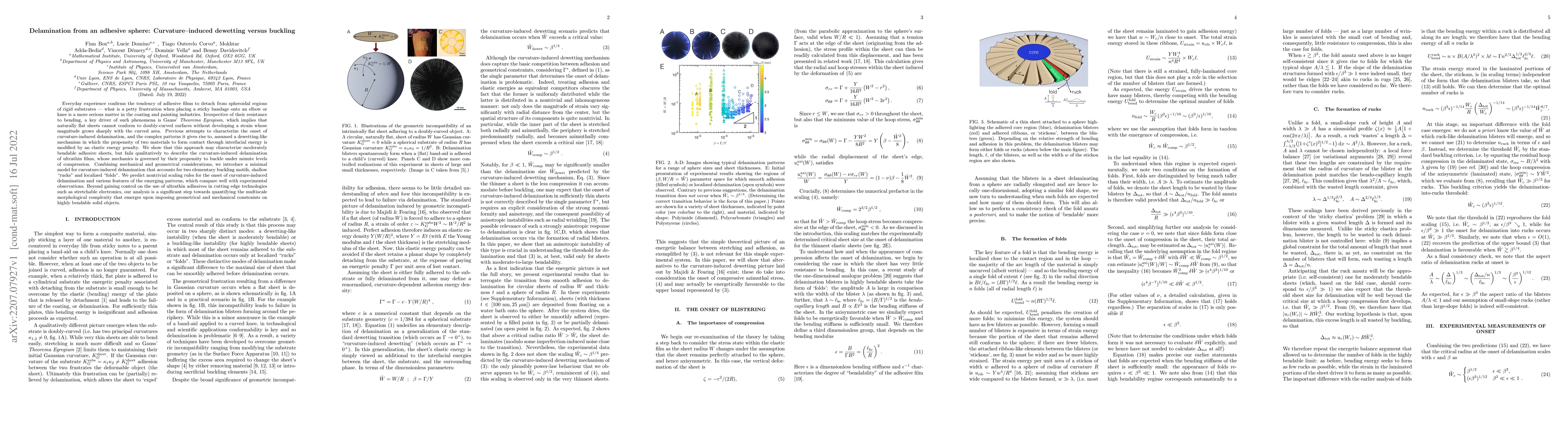 Thumbnail for Delamination from an adhesive sphere: Curvature-induced dewetting versus
  buckling