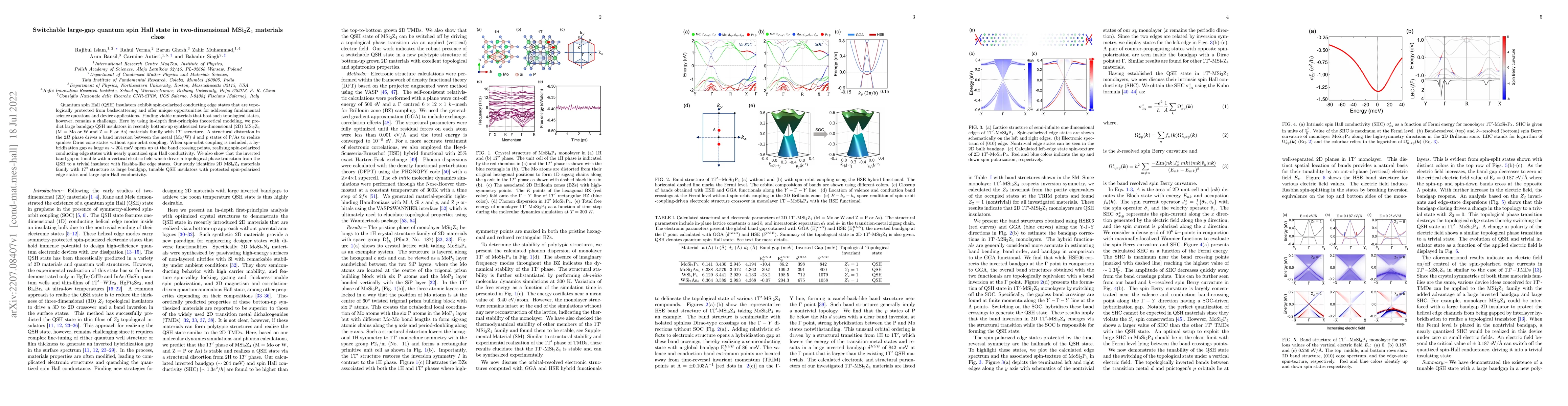 Thumbnail for Switchable large-gap quantum spin Hall state in two-dimensional
  MSi$_2$Z$_4$ materials class