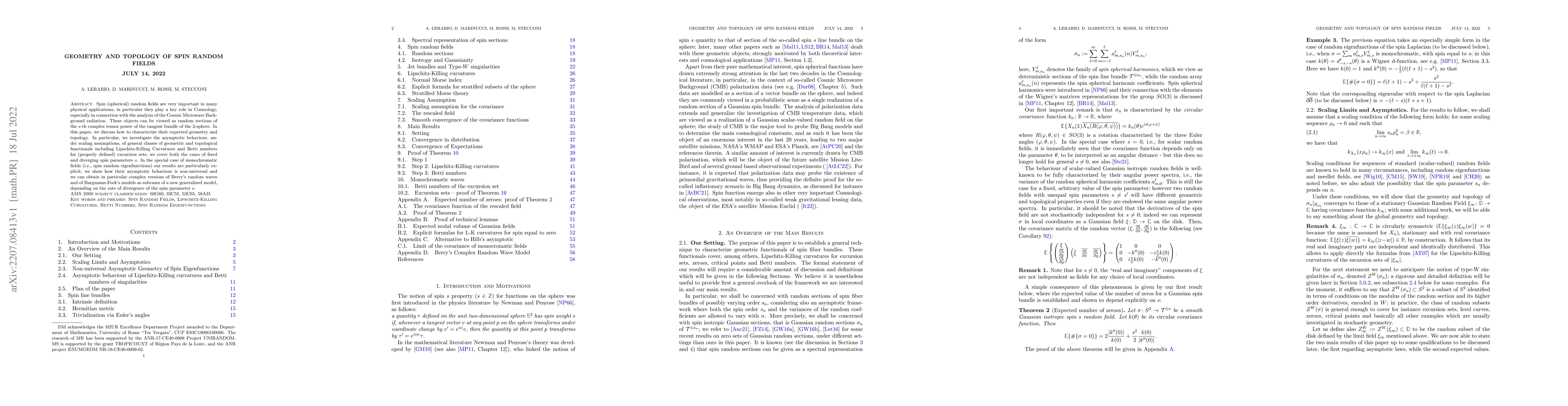 Thumbnail for Geometry and topology of spin random fields
