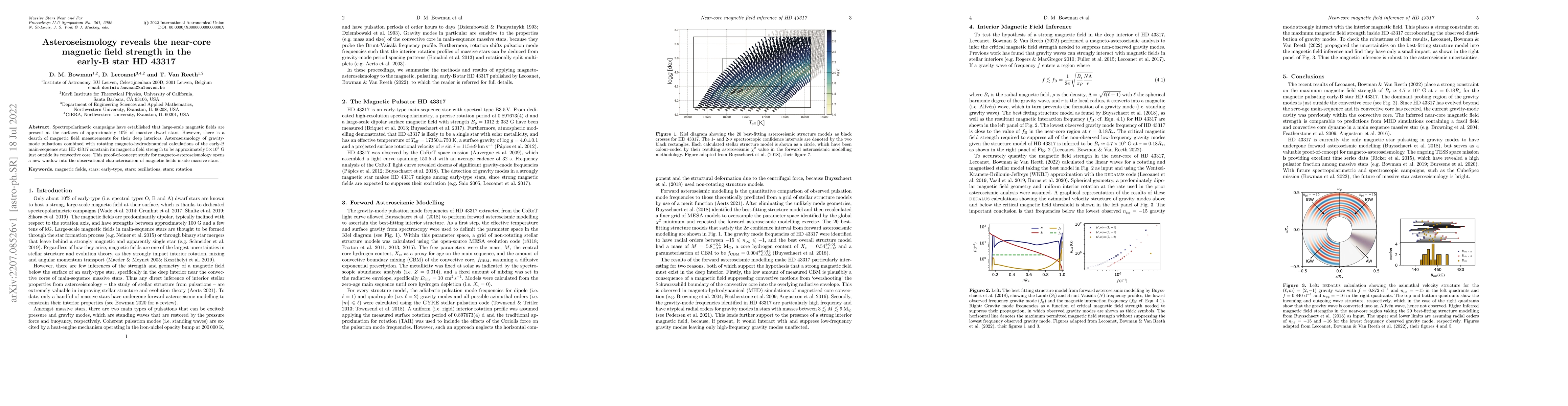 Thumbnail for Asteroseismology reveals the near-core magnetic field strength in the
  early-B star HD 43317