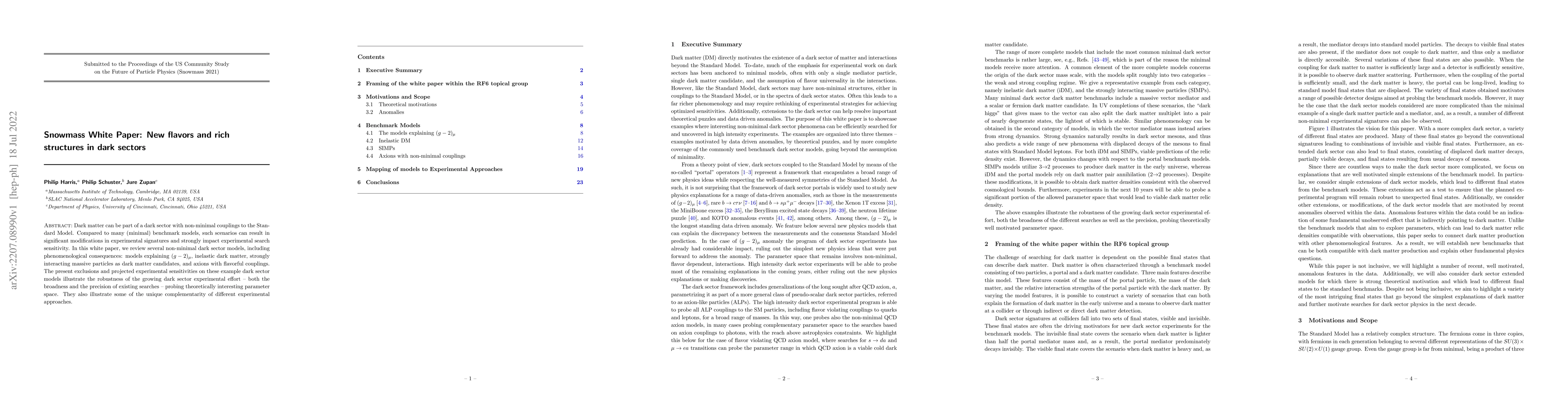 Thumbnail for Snowmass White Paper: New flavors and rich structures in dark sectors