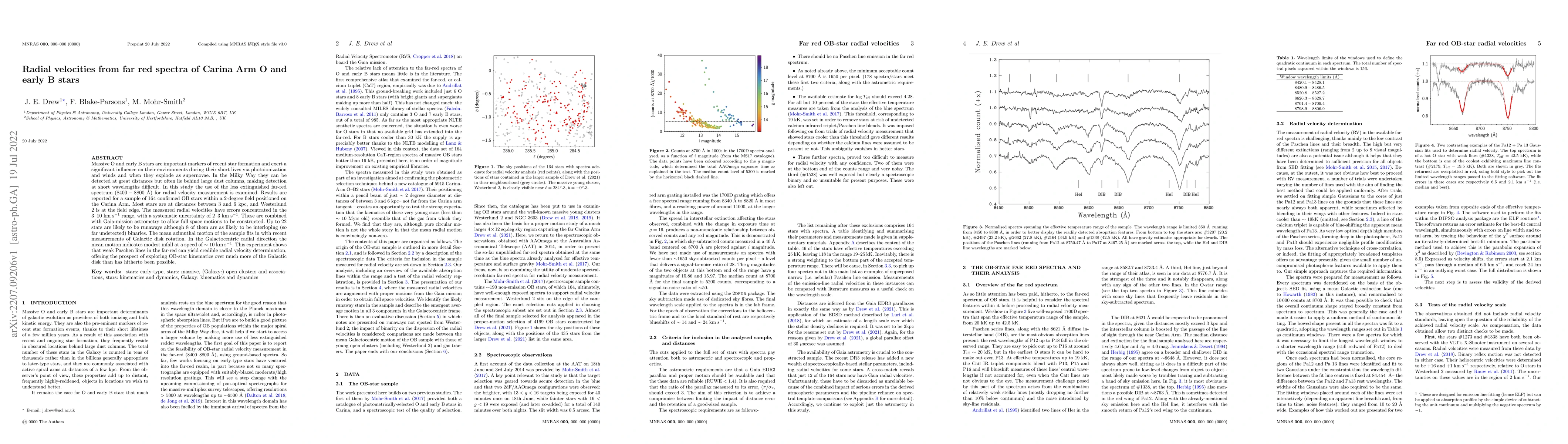 Thumbnail for Radial velocities from far red spectra of Carina Arm O and early B stars