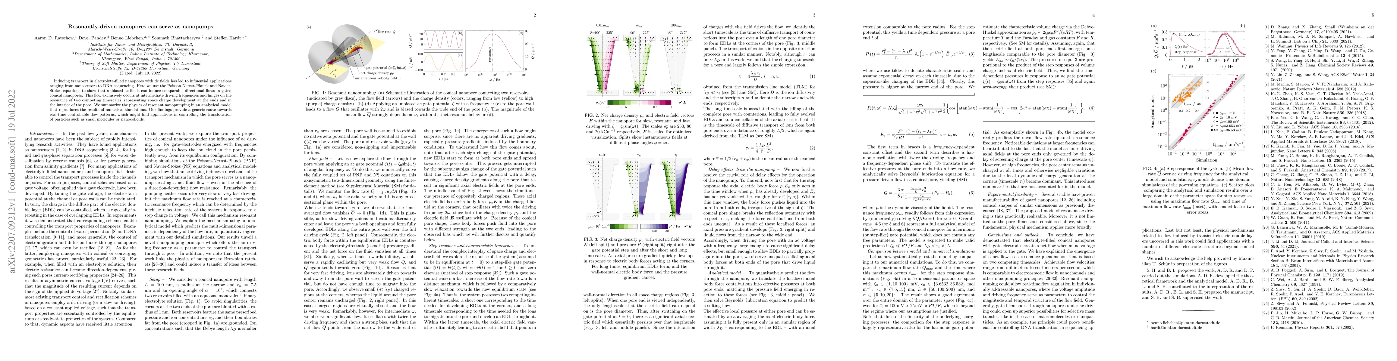 Thumbnail for Resonantly-driven nanopores can serve as nanopumps