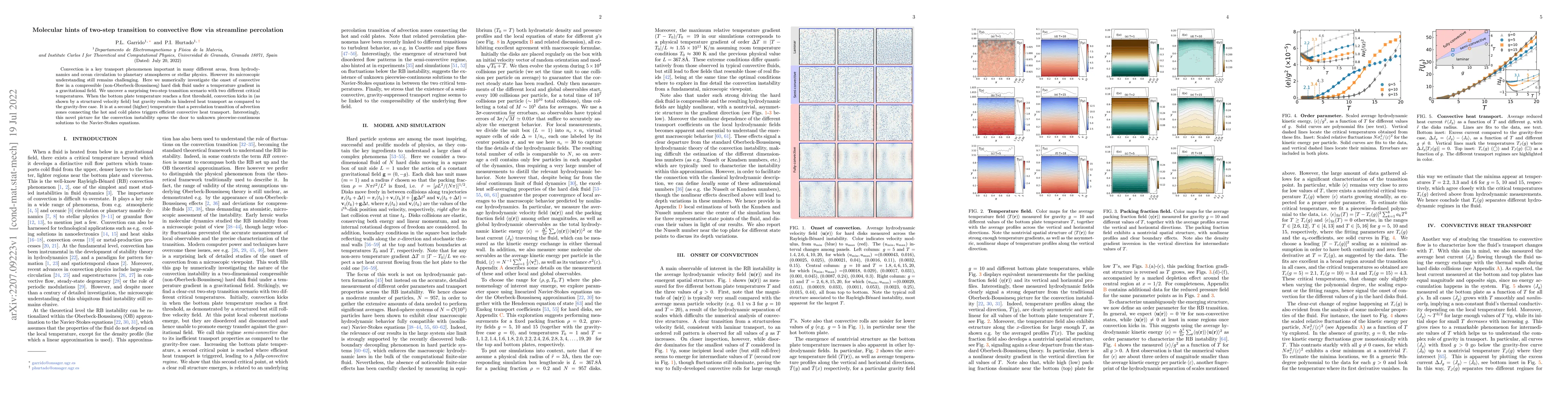 Thumbnail for Molecular hints of two-step transition to convective flow via streamline
  percolation