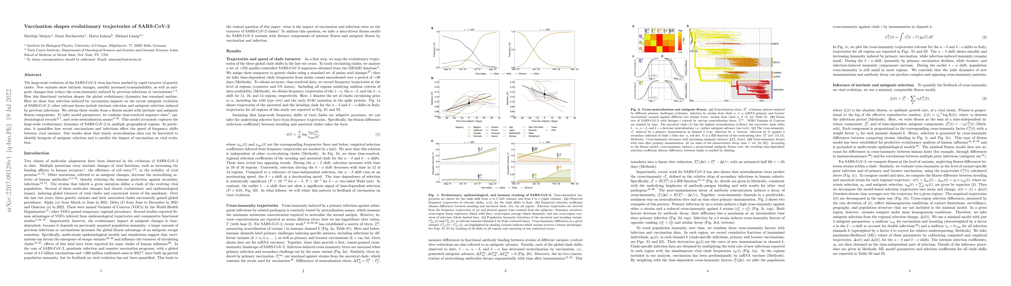 Thumbnail for Vaccination shapes evolutionary trajectories of SARS-CoV-2