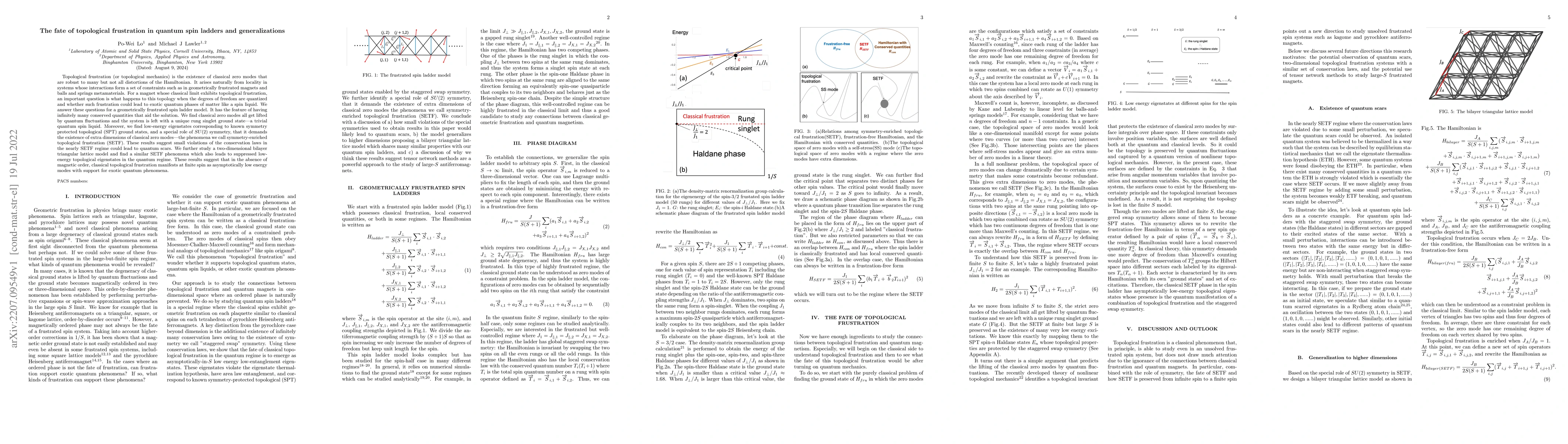 Thumbnail for The fate of topological frustration in quantum spin ladders and
  generalizations