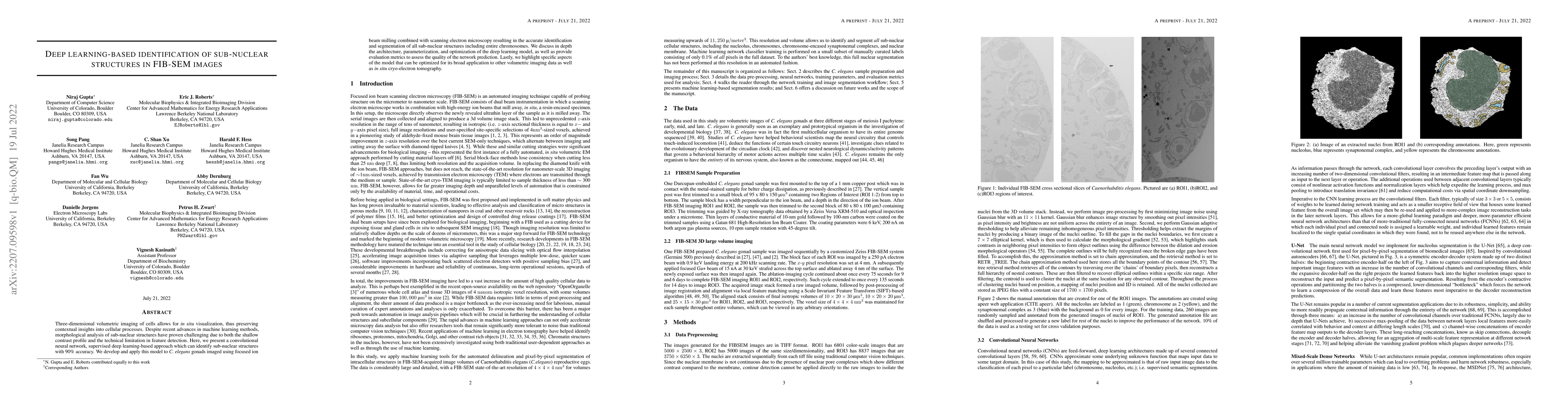Thumbnail for Deep learning-based identification of sub-nuclear structures in FIB-SEM
  images