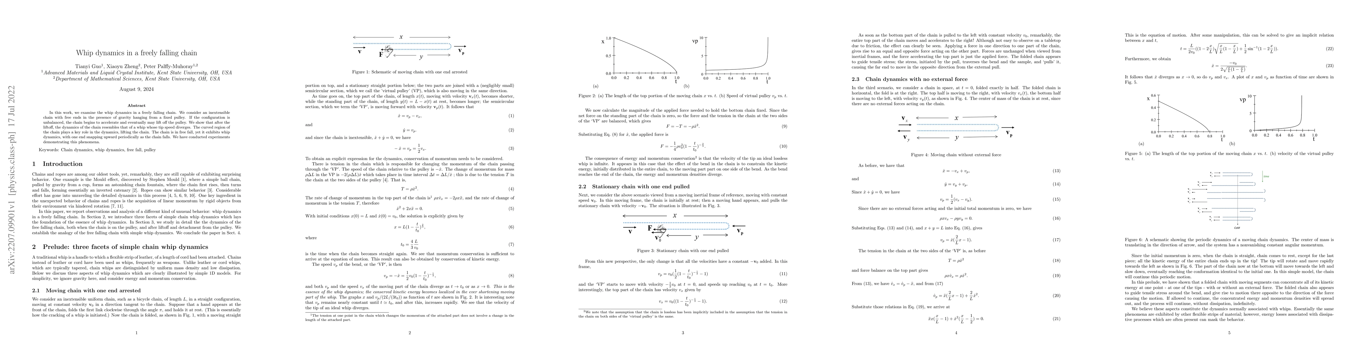 Thumbnail for Whip dynamics in a freely falling chain