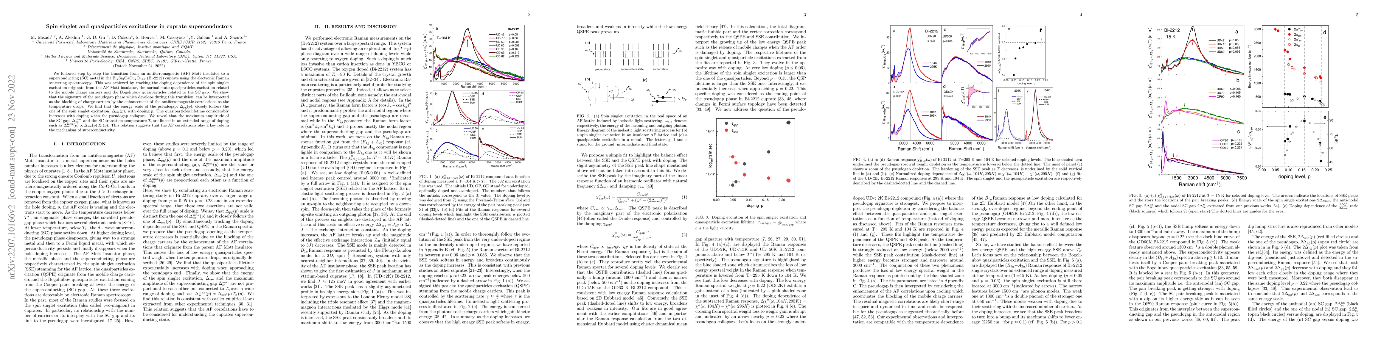 Thumbnail for Spin singlet and quasiparticles excitations in cuprate superconductors