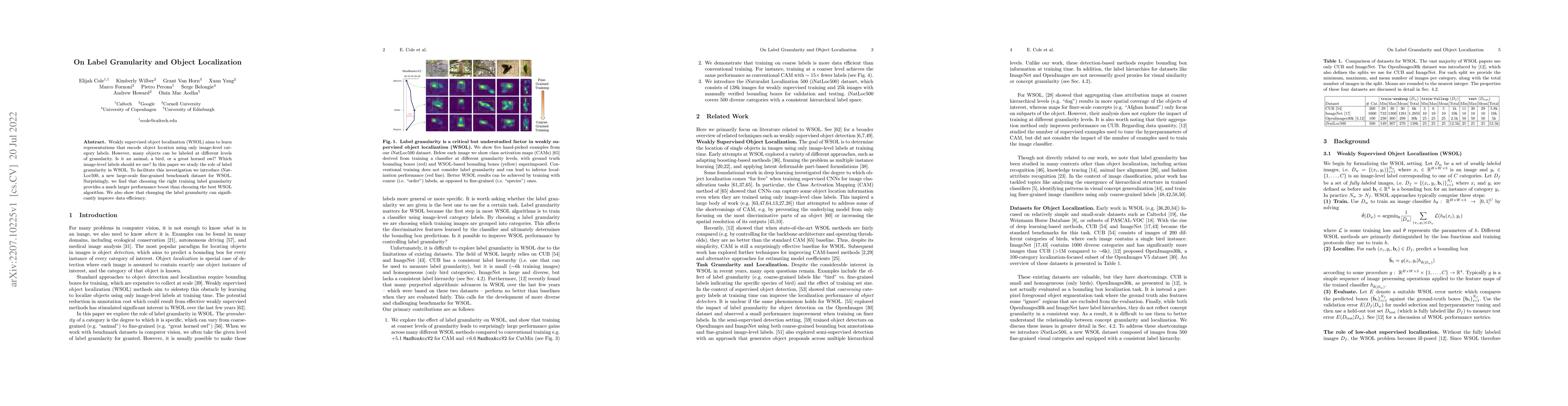 Thumbnail for On Label Granularity and Object Localization
