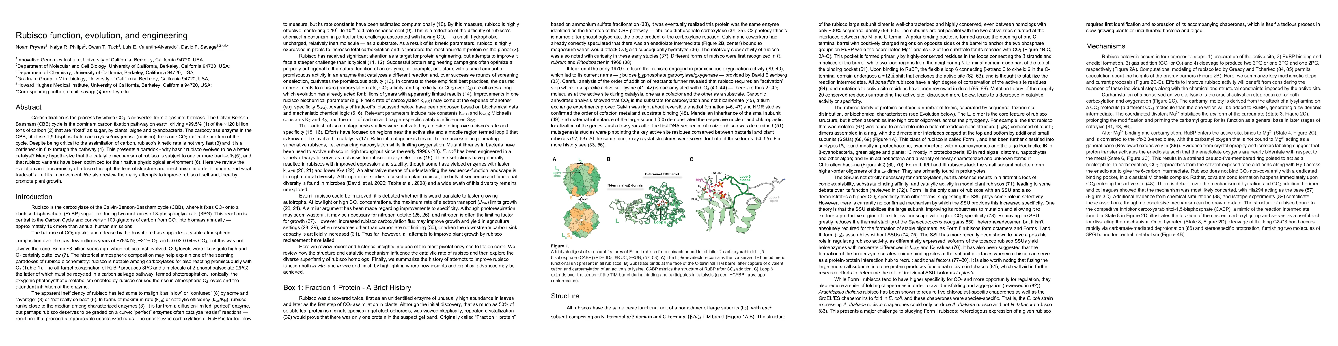 Thumbnail for Rubisco function, evolution, and engineering