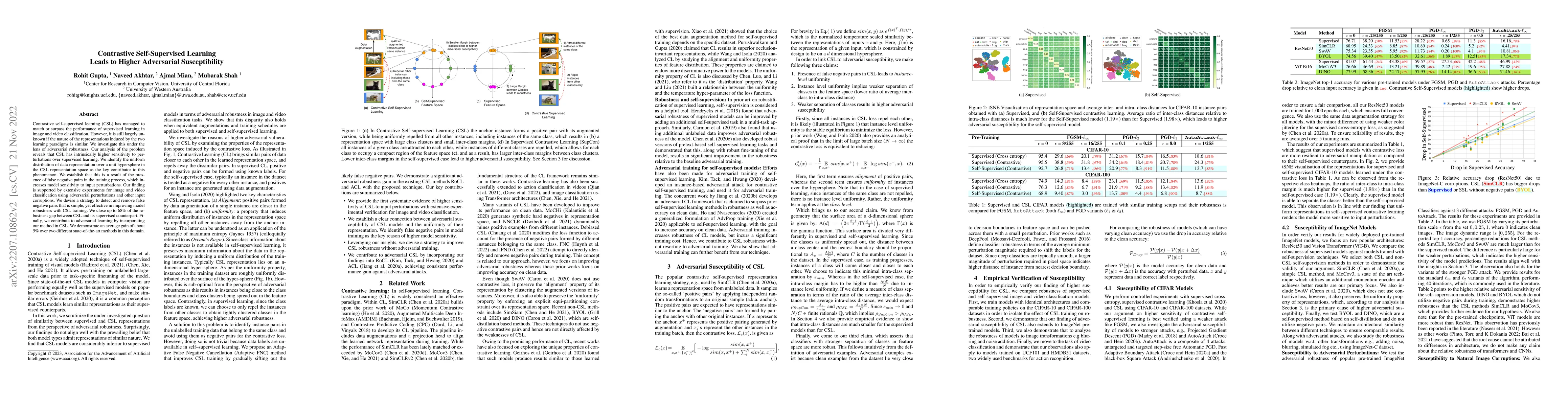Thumbnail for Contrastive Self-Supervised Learning Leads to Higher Adversarial
  Susceptibility