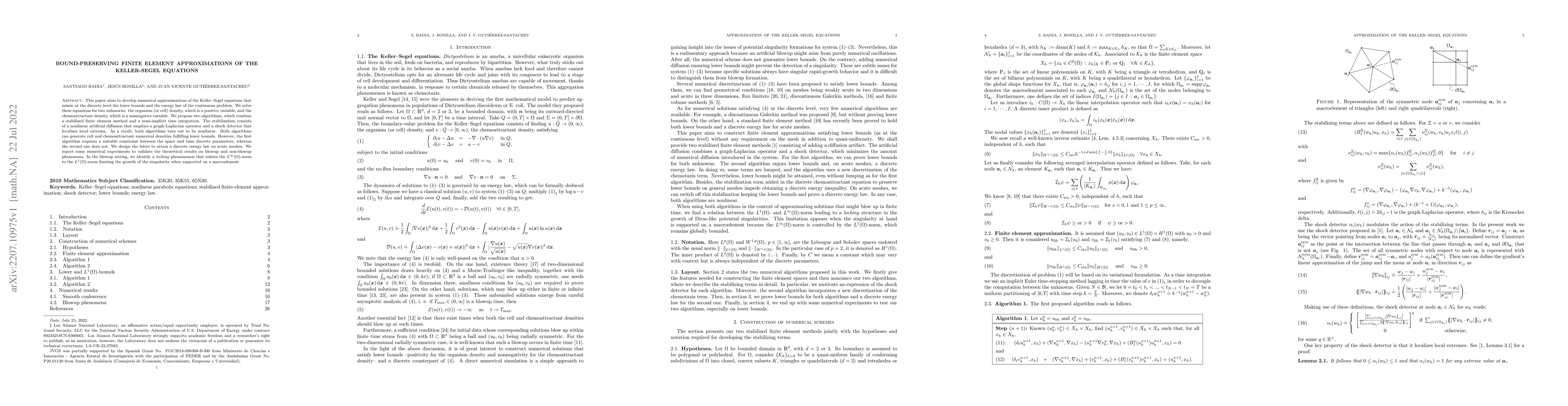Thumbnail for Bound-preserving finite element approximations of the Keller-Segel
  equations