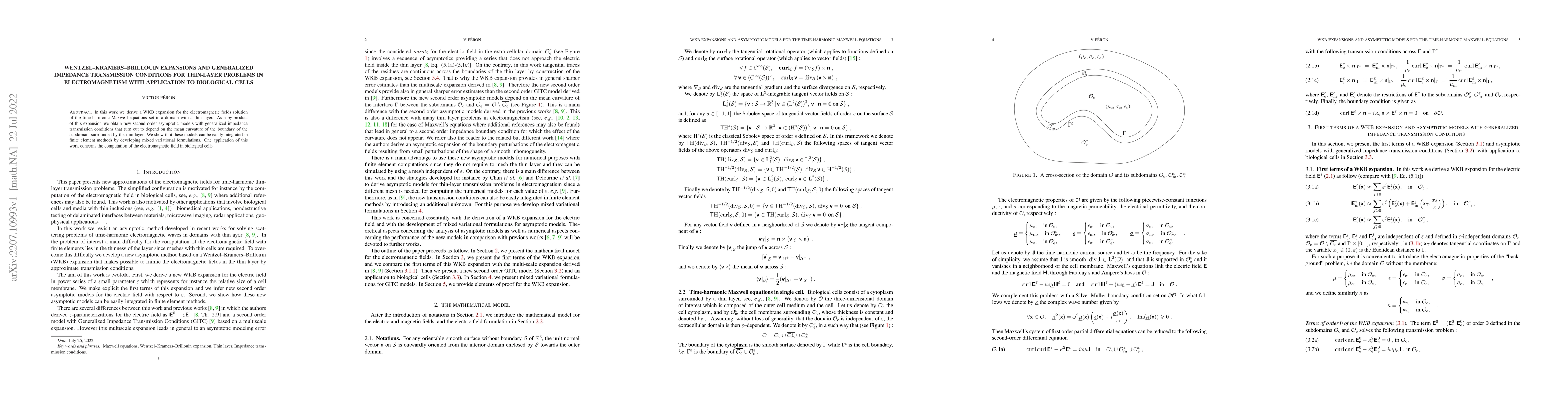 Thumbnail for Wentzel--Kramers--Brillouin Expansions and Generalized Impedance
  Transmission Conditions for Thin-Layer Problems in Electromagnetism with
  Application to Biological Cells