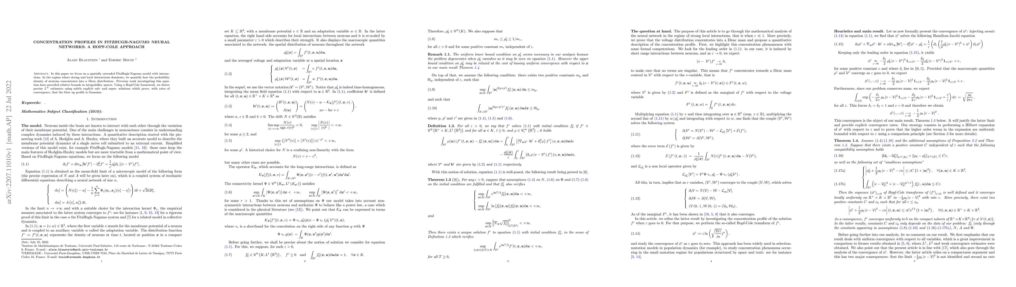 Thumbnail for Concentration profiles in FitzHugh-Nagumo neural networks: A Hopf-Cole
  approach