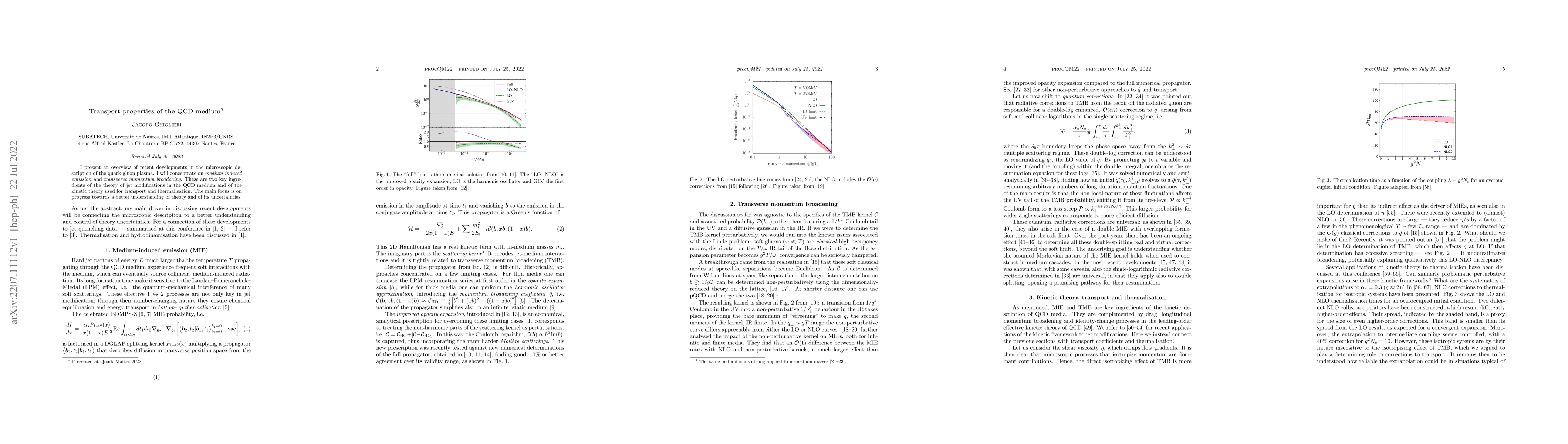 Thumbnail for Transport properties of the QCD medium