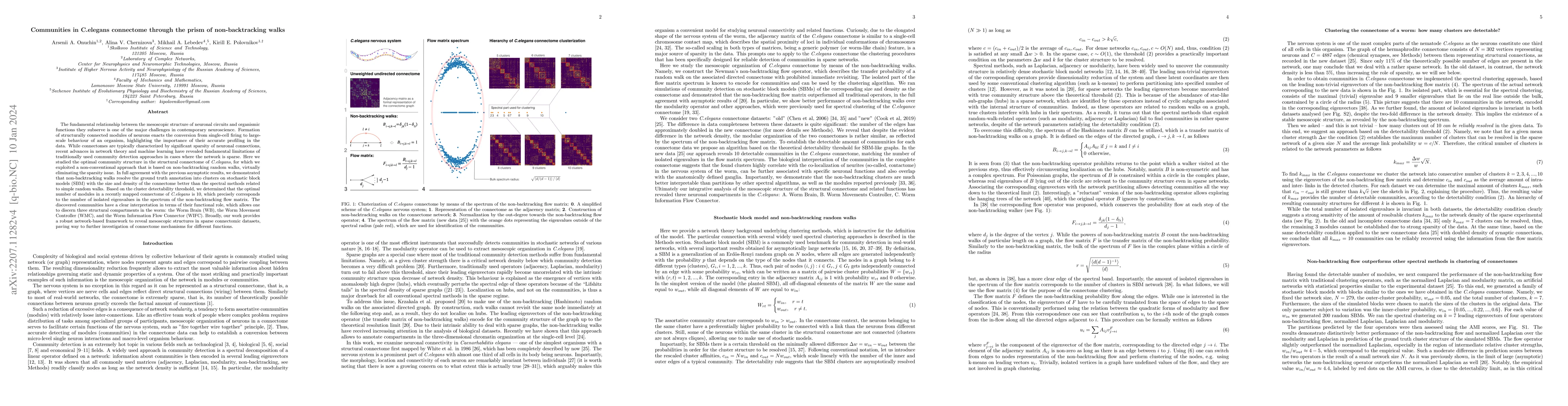 Thumbnail for Communities in C.elegans connectome through the prism of
  non-backtracking walks