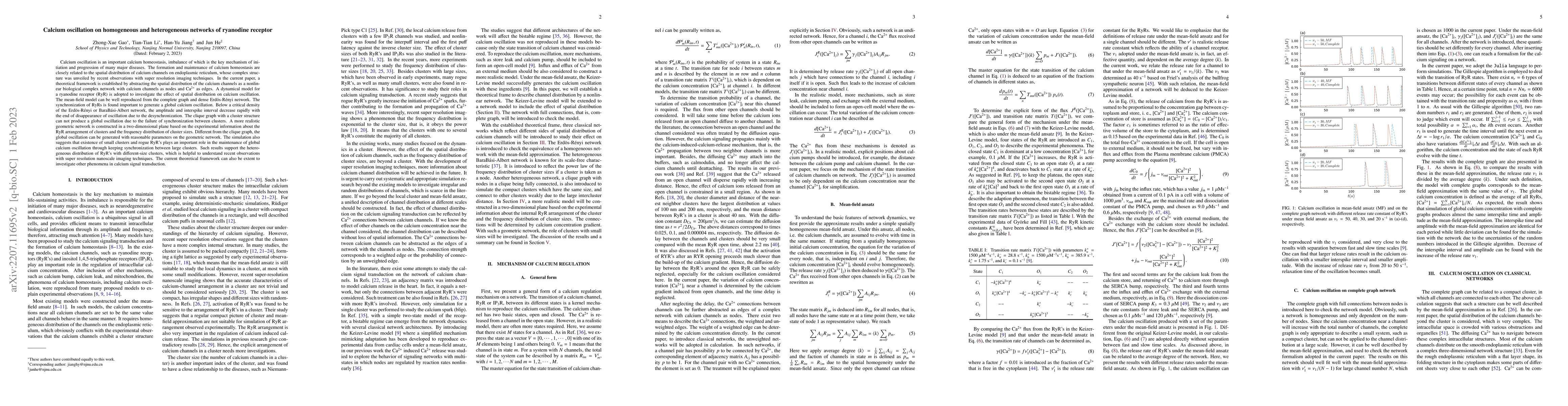 Thumbnail for Calcium oscillation on homogeneous and heterogeneous networks of
  ryanodine receptor