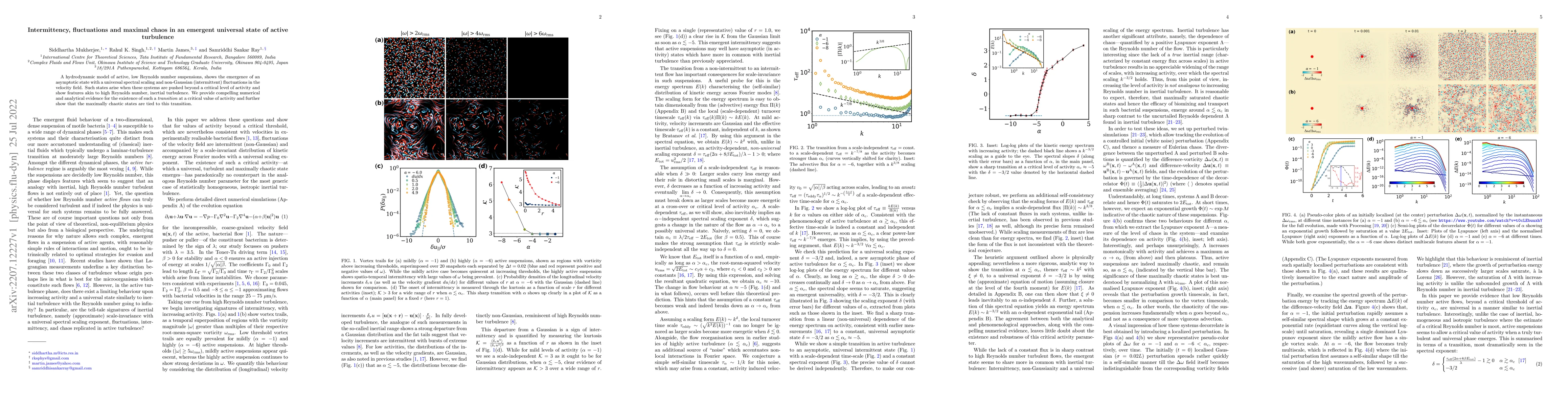 Thumbnail for Intermittency, fluctuations and maximal chaos in an emergent universal
  state of active turbulence