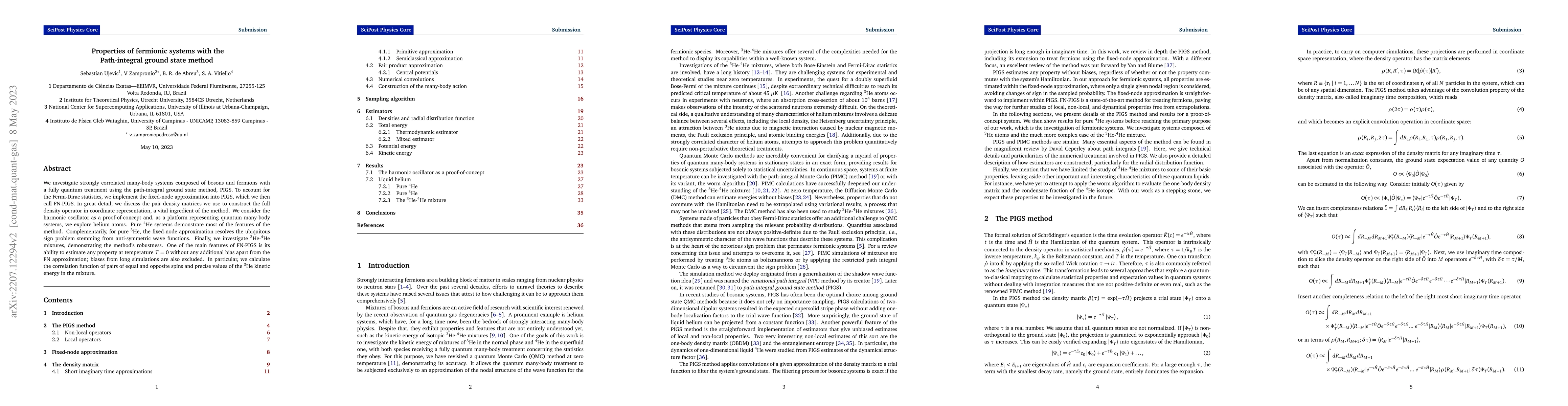 Thumbnail for Properties of fermionic systems with the Path-integral ground state
  method