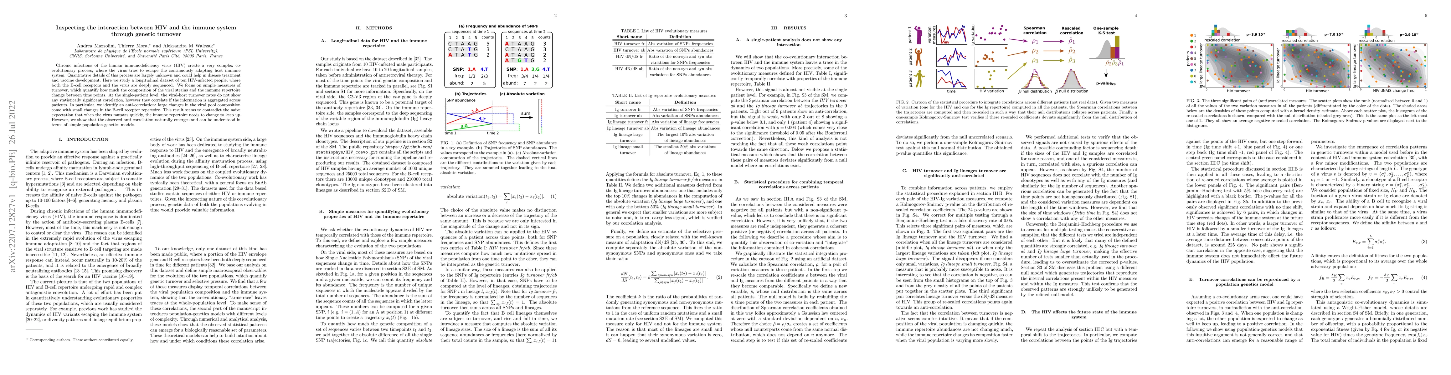 Thumbnail for Inspecting the interaction between HIV and the immune system through
  genetic turnover