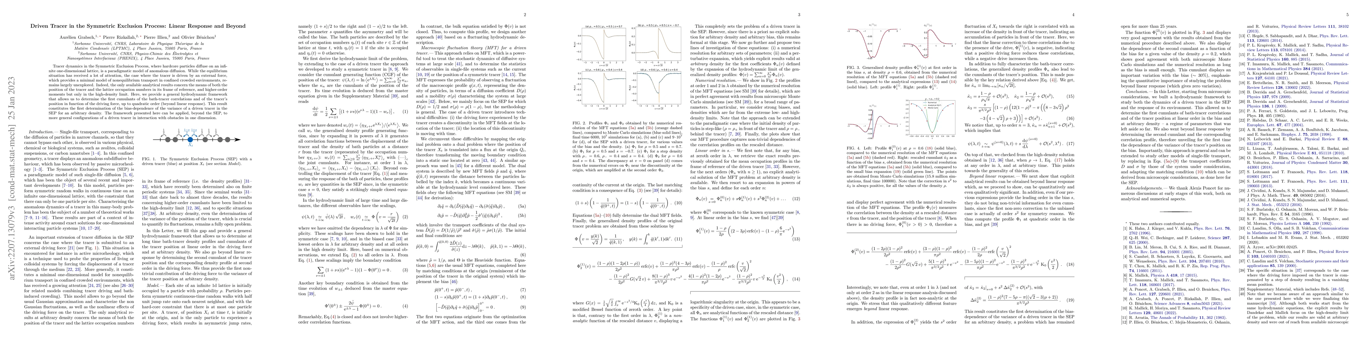 Thumbnail for Driven Tracer in the Symmetric Exclusion Process: Linear Response and
  Beyond
