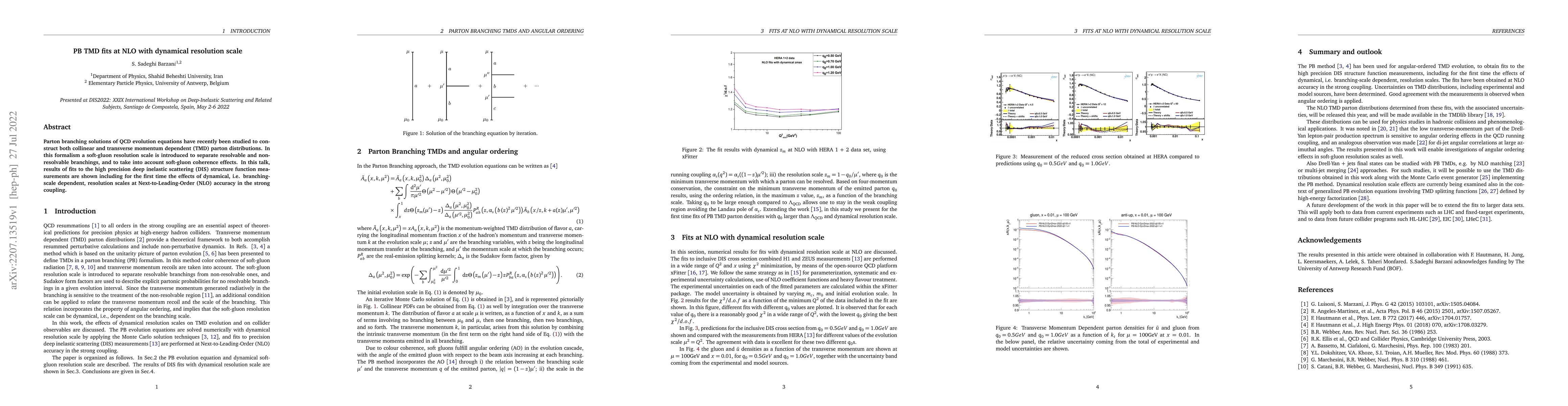 Thumbnail for PB TMD fits at NLO with dynamical resolution scale