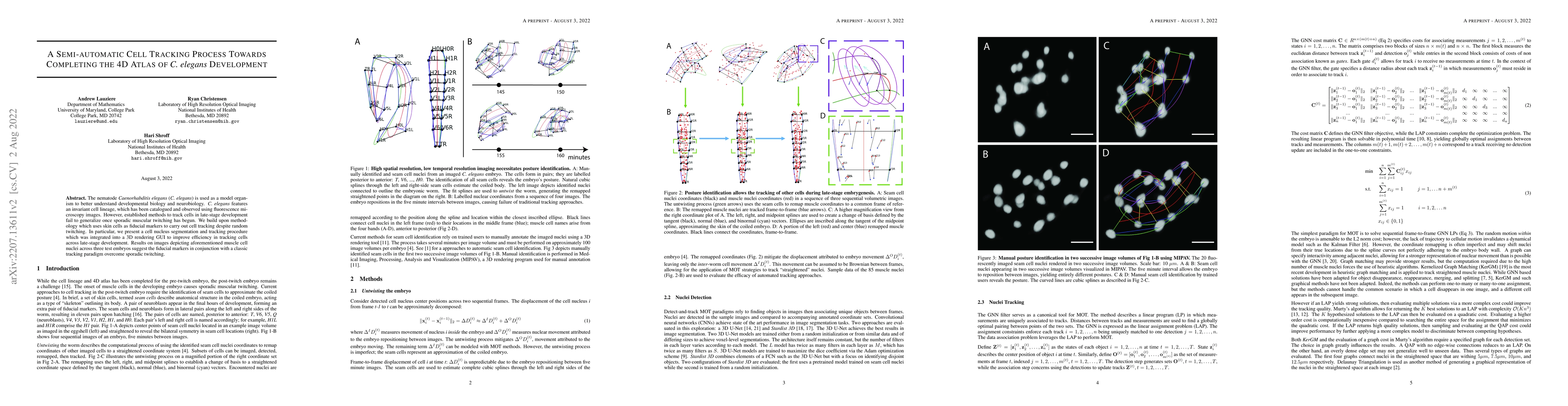 Thumbnail for A Semi-automatic Cell Tracking Process Towards Completing the 4D Atlas
  of C. elegans Development