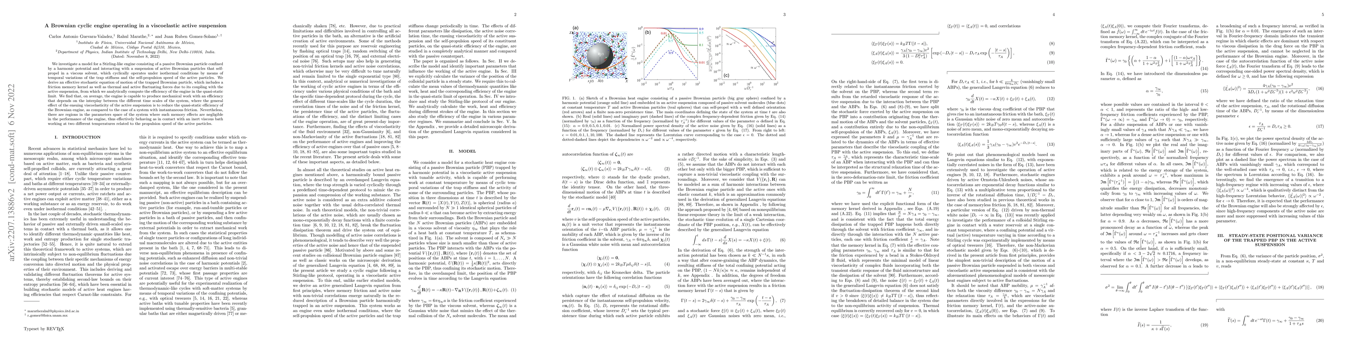 Thumbnail for A Brownian cyclic engine operating in a viscoelastic active suspension