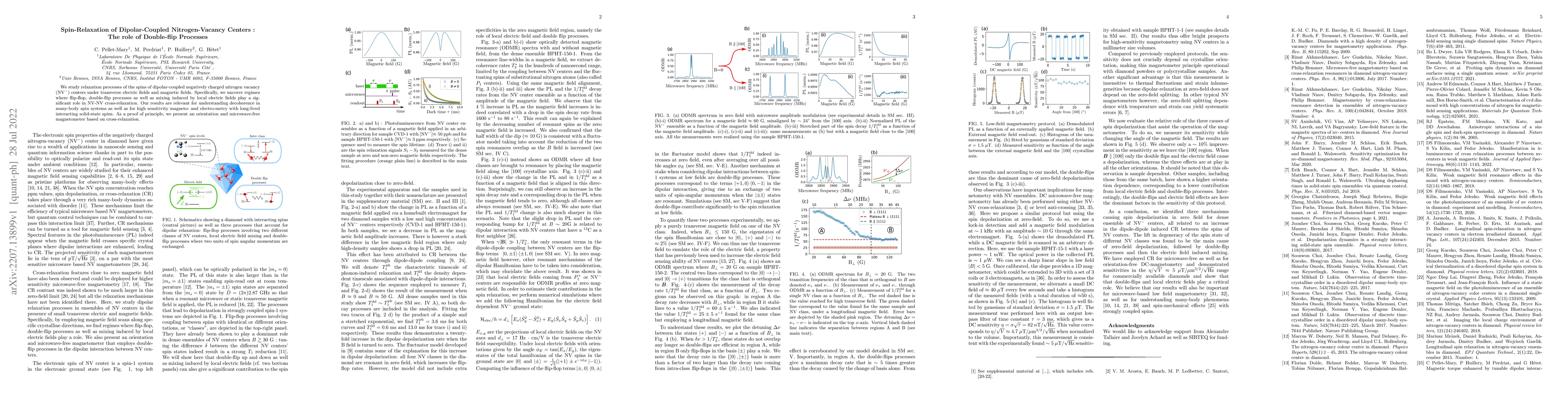 Thumbnail for Spin-Relaxation of Dipolar-Coupled Nitrogen-Vacancy Centers : The role
  of Double-flip Processes