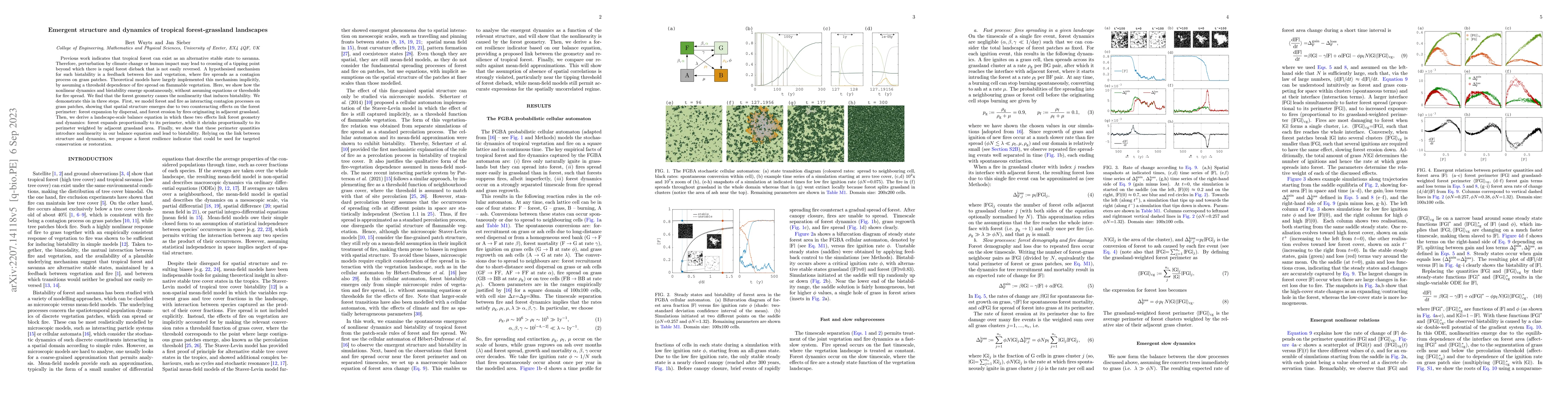 Thumbnail for Emergent structure and dynamics of tropical forest-grassland landscapes
