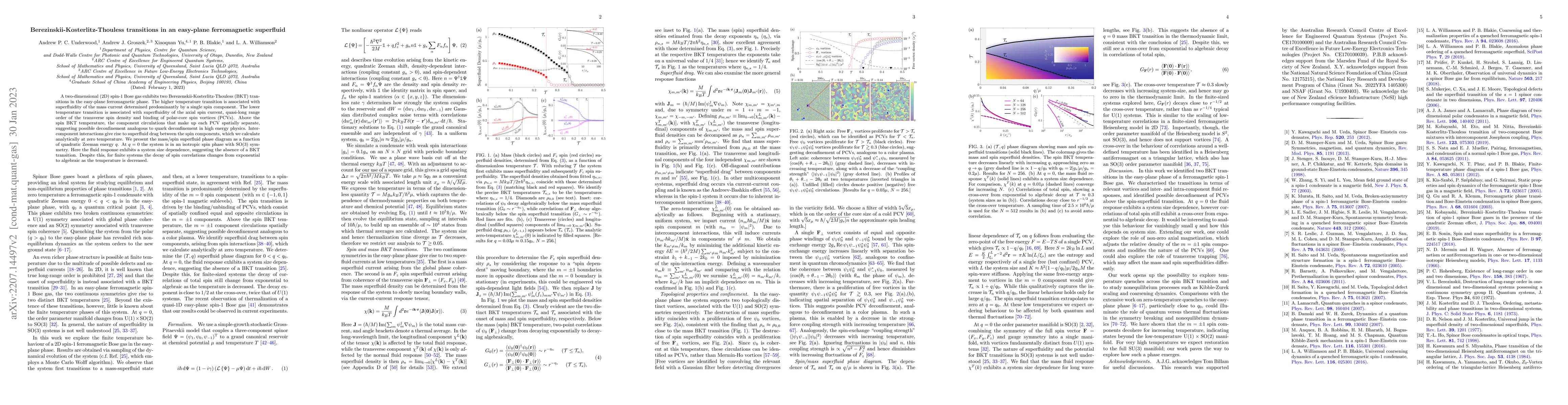 Thumbnail for Berezinskii-Kosterlitz-Thouless transitions in an easy-plane
  ferromagnetic superfluid