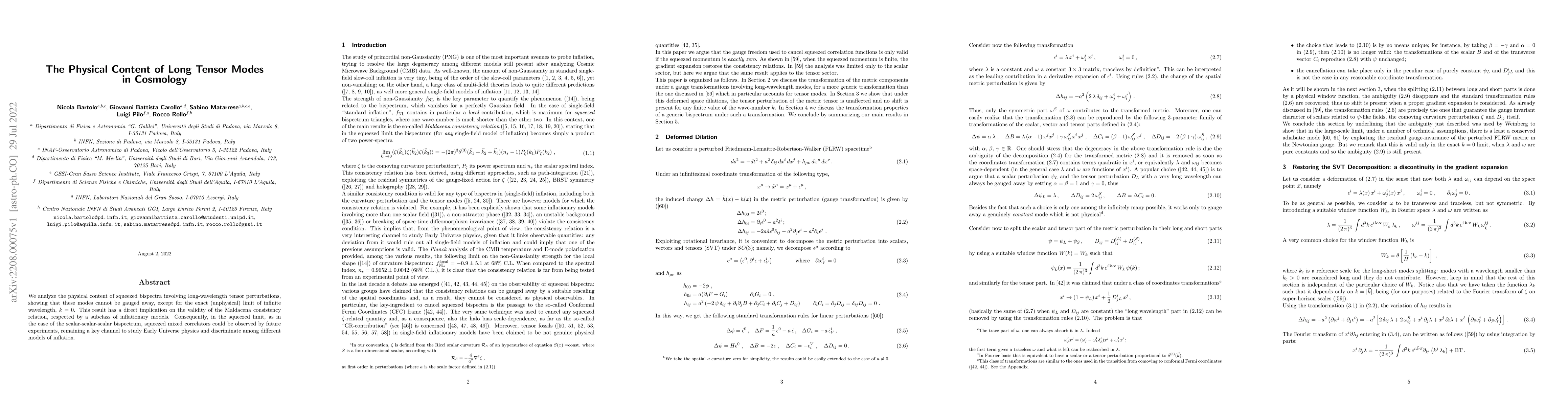 Thumbnail for The Physical Content of Long Tensor Modes in Cosmology