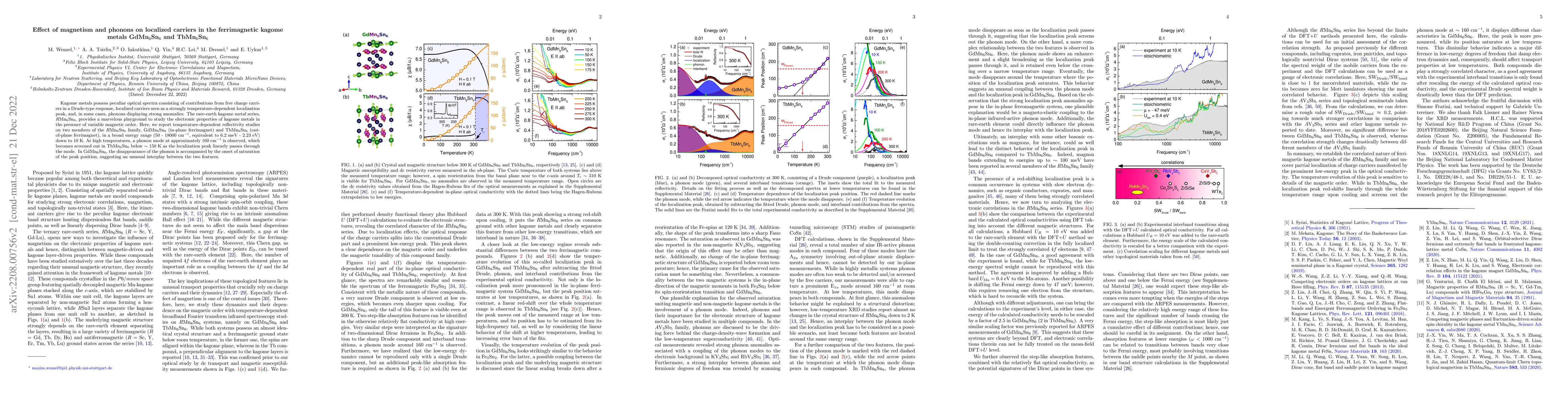 Thumbnail for Effect of magnetism and phonons on localized carriers in the
  ferrimagnetic kagome metals GdMn$_6$Sn$_6$ and TbMn$_6$Sn$_6$