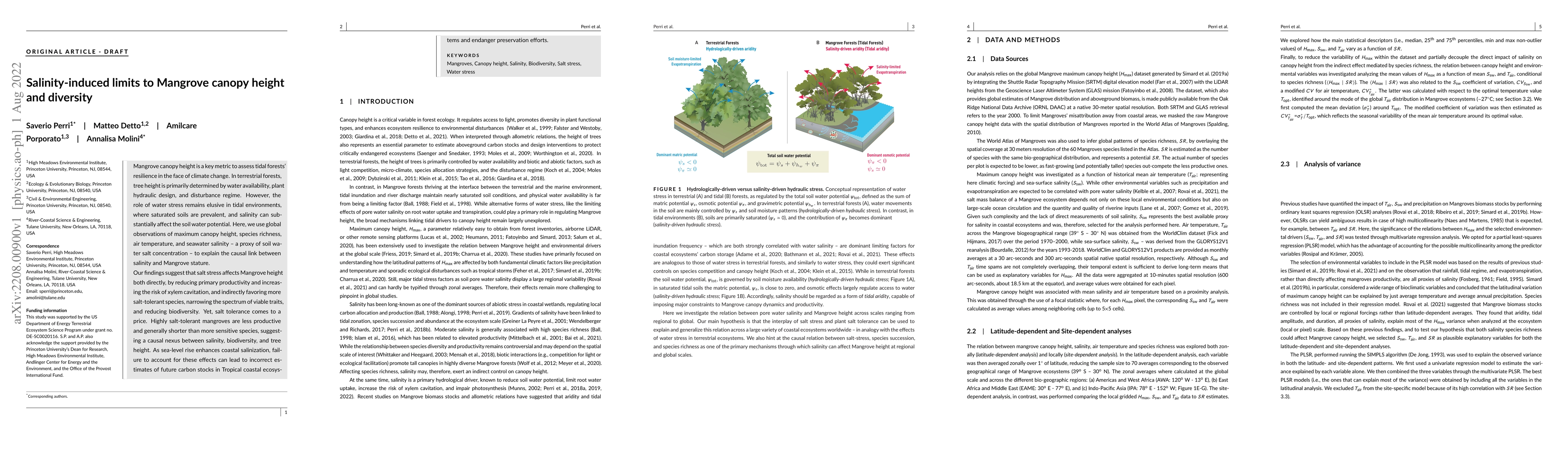 Thumbnail for Salinity-induced limits to Mangrove canopy height and diversity