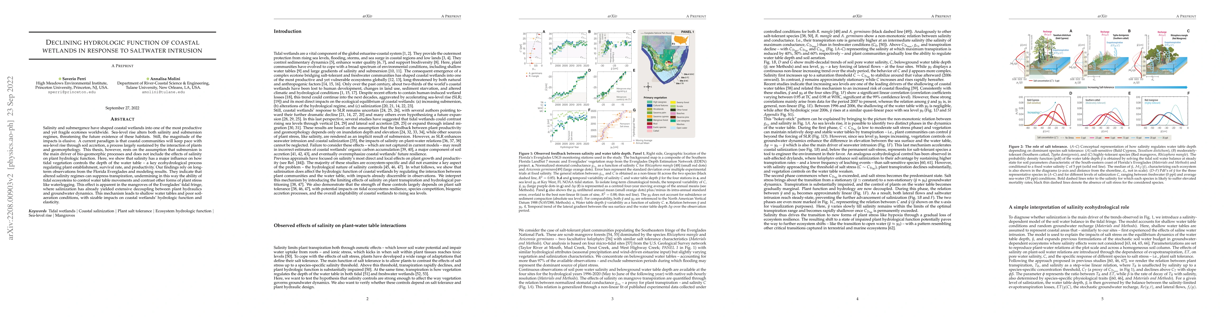 Thumbnail for Declining hydrologic function of coastal wetlands in response to
  saltwater intrusion
