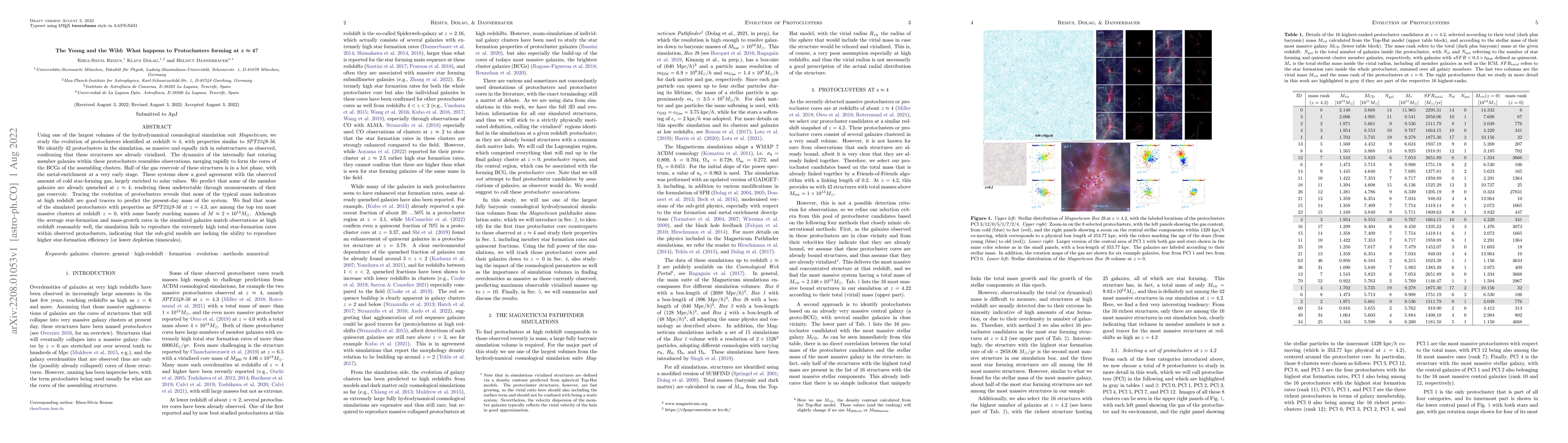 Thumbnail for The Young and the Wild: What happens to Protoclusters forming at z = 4?