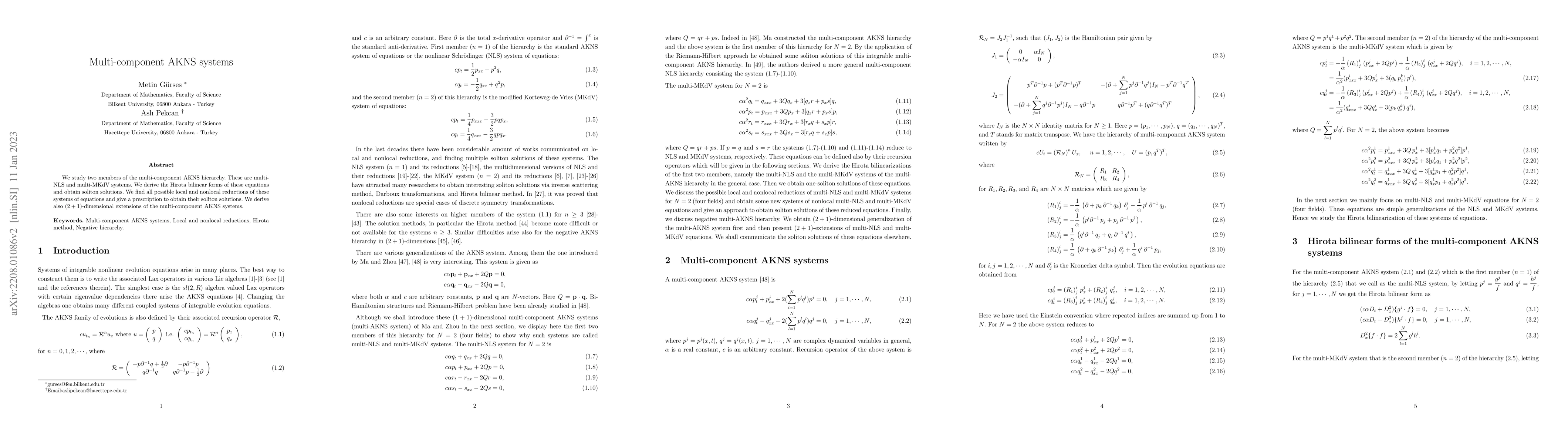 Thumbnail for Multi-component AKNS systems