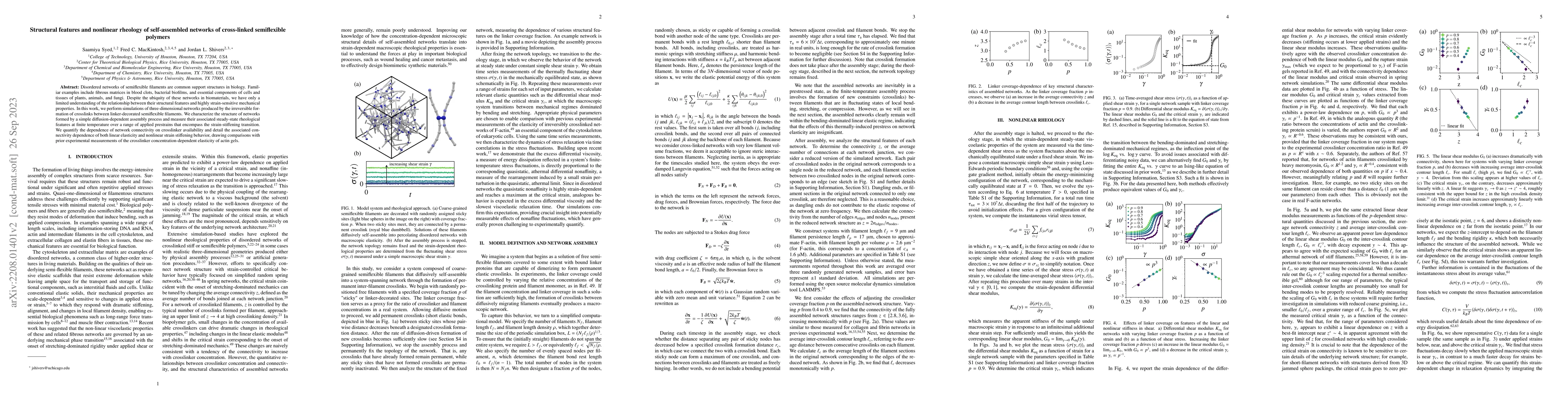 Thumbnail for Structural features and nonlinear rheology of self-assembled networks of
  cross-linked semiflexible polymers