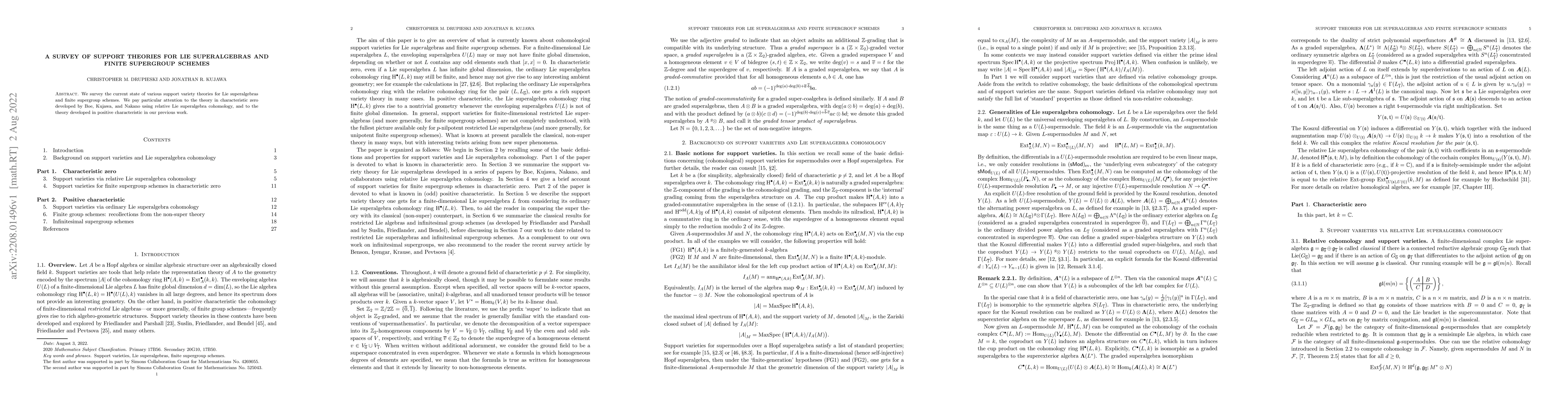 Thumbnail for A survey of support theories for Lie superalgebras and finite supergroup
  schemes