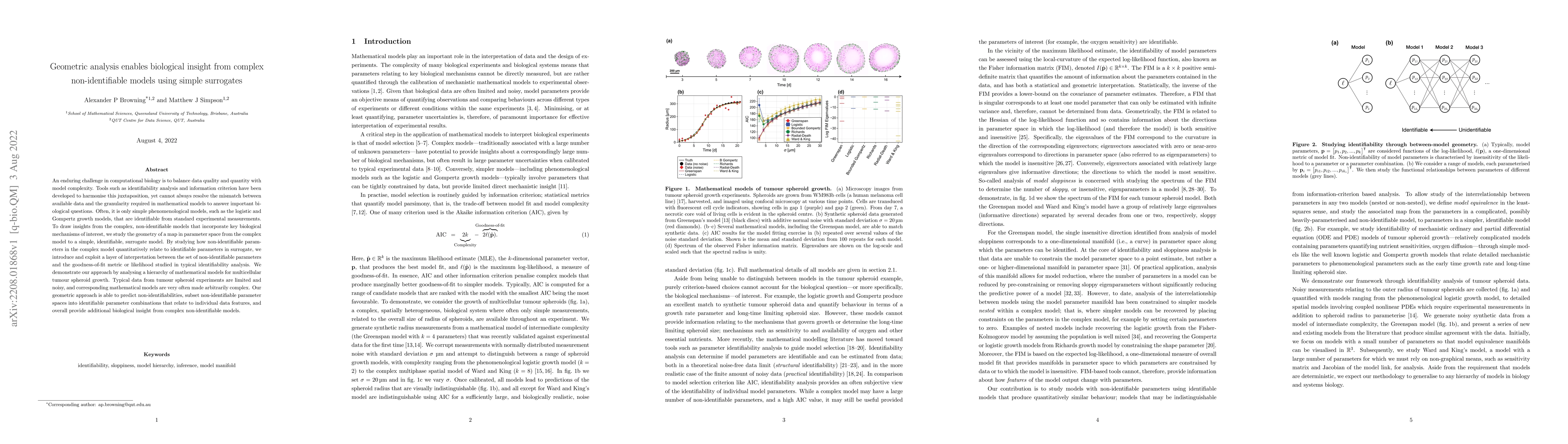 Thumbnail for Geometric analysis enables biological insight from complex
  non-identifiable models using simple surrogates