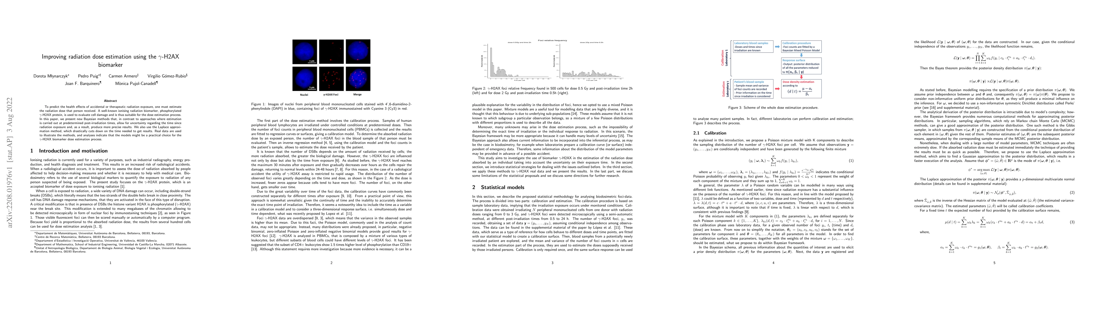 Thumbnail for Improving radiation dose estimation using the gamma-H2AX biomarker
