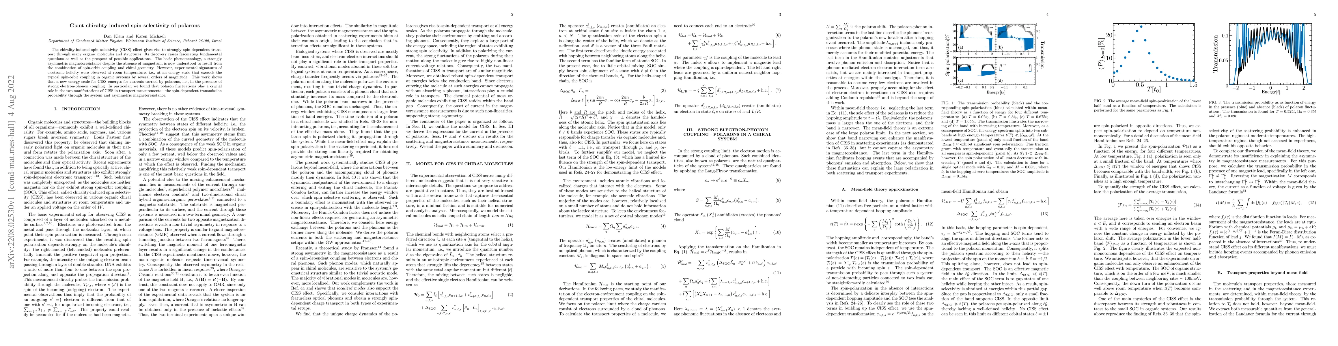 Thumbnail for Giant chirality-induced spin-selectivity of polarons