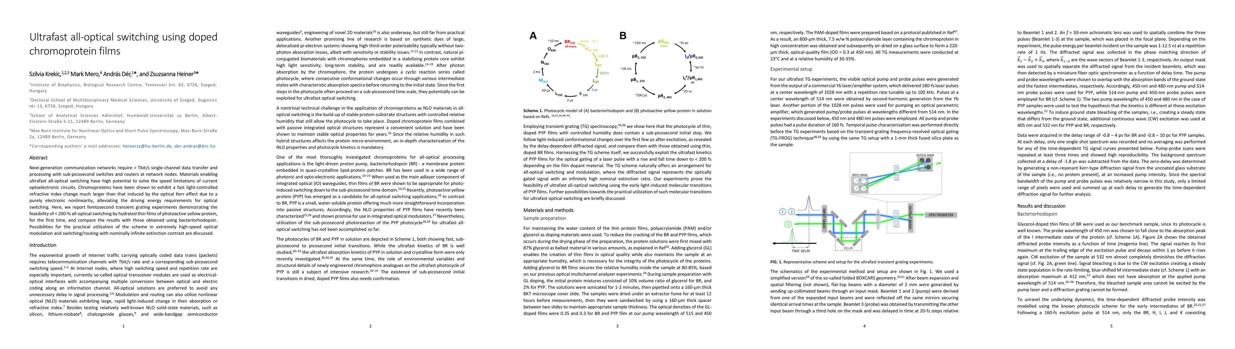 Thumbnail for Ultrafast all-optical switching using doped chromoprotein films