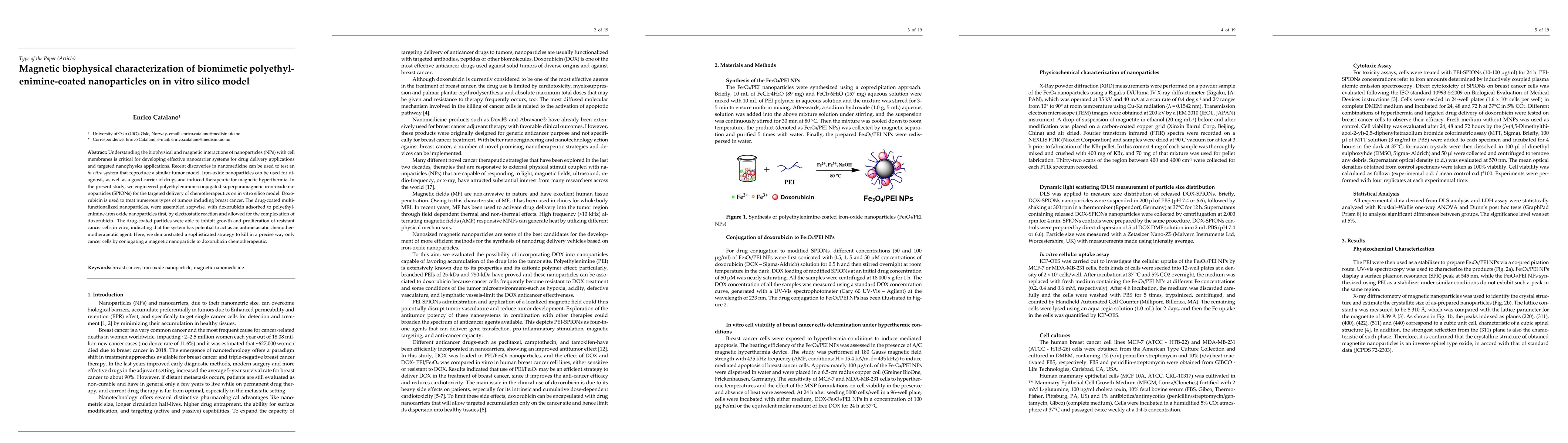 Thumbnail for Magnetic biophysical characterization of biomimetic
  polyeth-ylenimine-coated nanoparticles on in vitro silico model